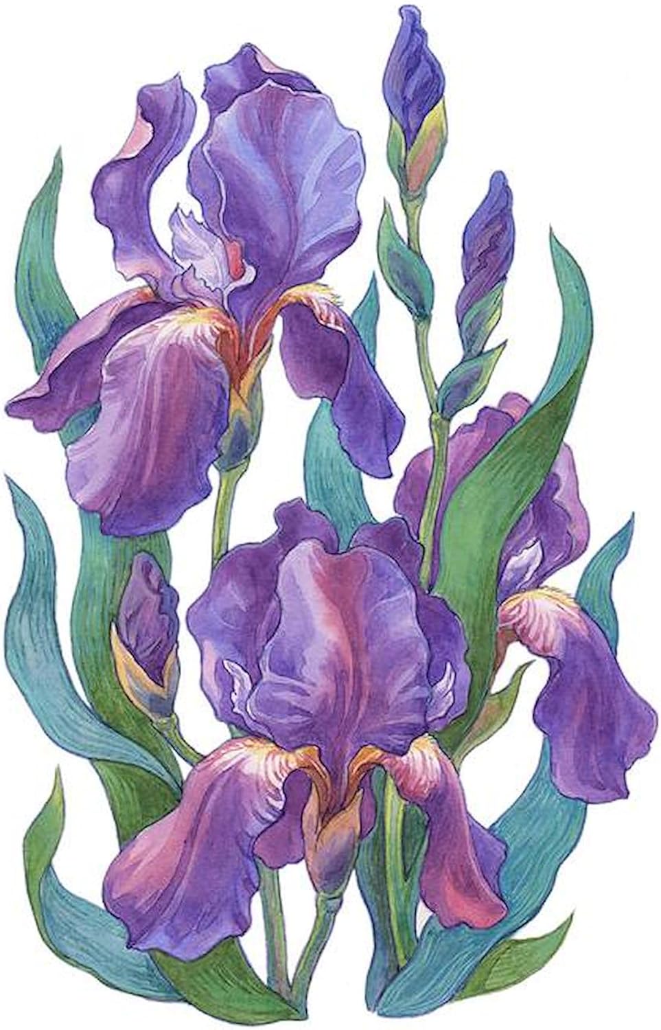 CafePress Purple Iris Decorative Fabric Shower Curtain