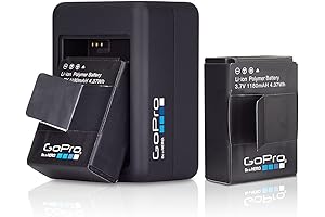 Dual Battery Charger (HERO3+/HERO3) (GoPro Official Accessory)