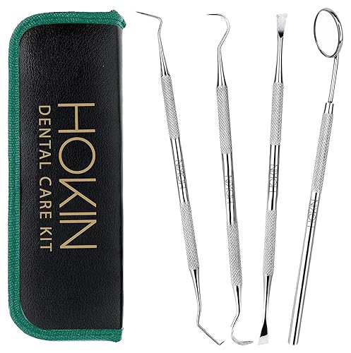 HOKIN Herramientas dentales, removedor de placa, herramienta de limpieza de dientes, 4 piezas, kit de cuidado dental, juego de reparación de llenado