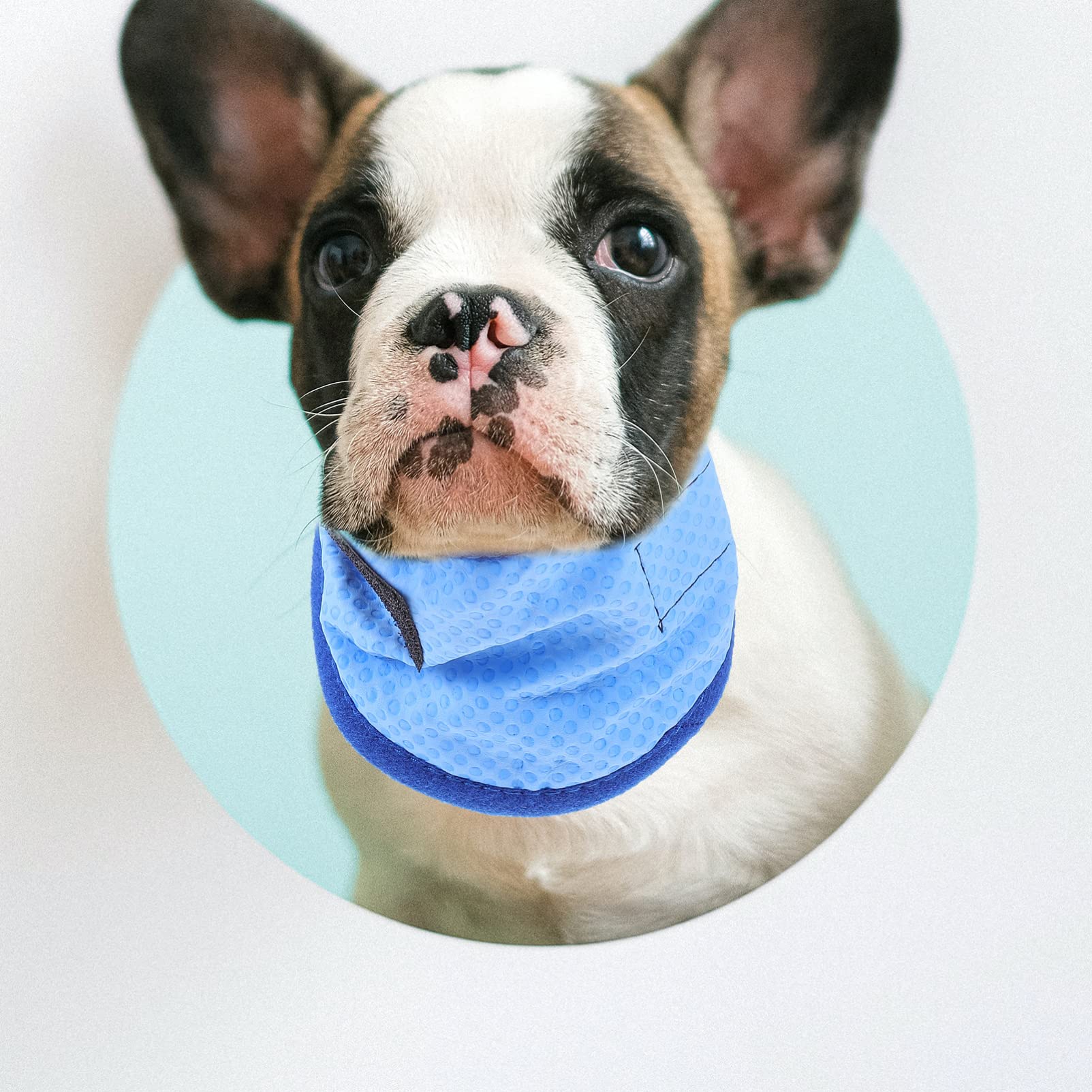Beavorty 4stücke Pet Kühlbandana Für Hunde Atmungsaktives Kühlhalsband Leichtes Und Hautfreundliches Zubehör Für Und Im Sommer Mit Punkten