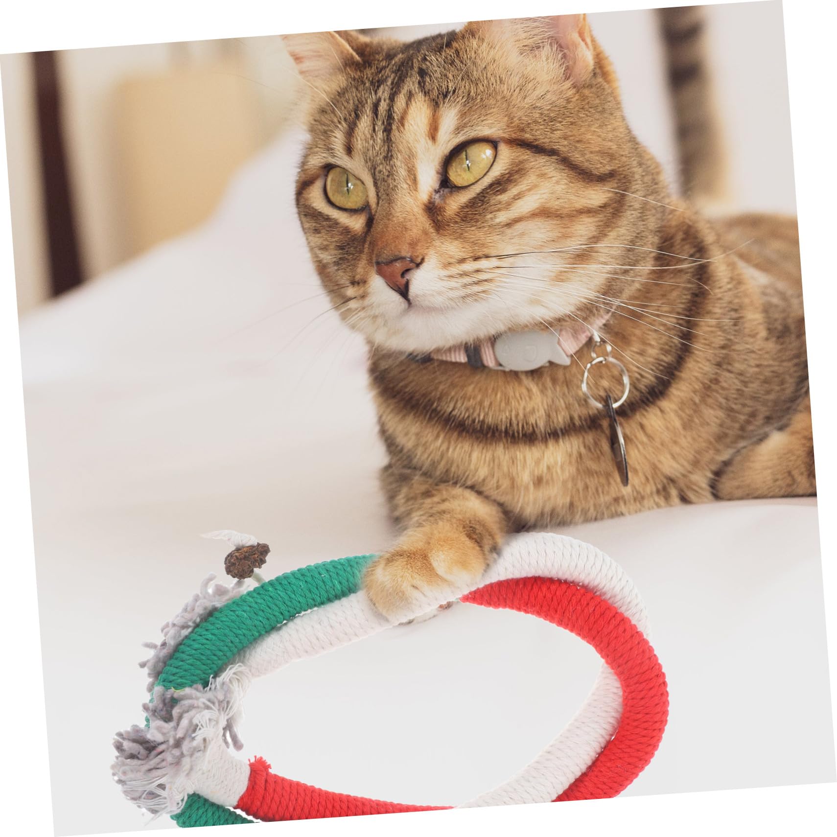 SUPVOX 15pièces Jouets Corde à Mâcher pour Chat avec Herbe à Chat Stimule Instinct De Chasse