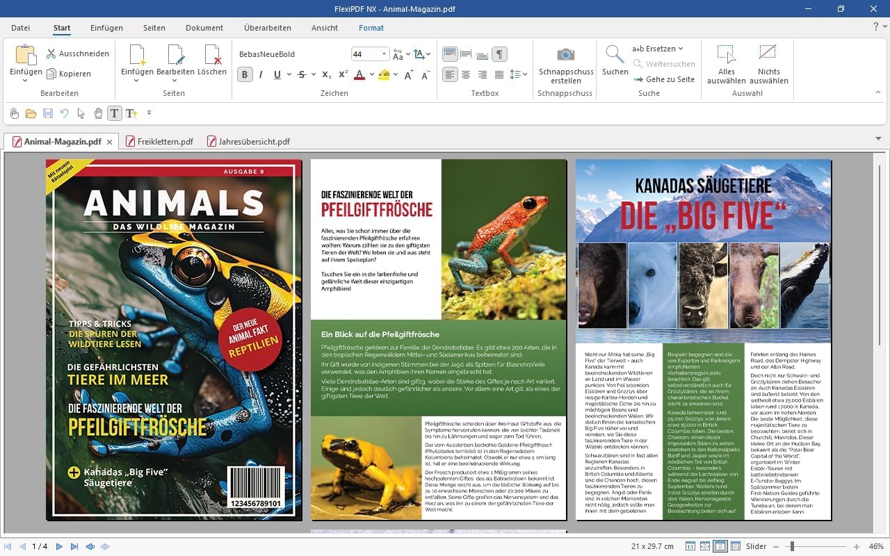 FlexiPDF NX – PDF-Editor | Übersetzer | Kompatibel mit Windows | 3 Geräte | 1 Jahr | PDF-Editor für Büro, Homeoffice & Datenschutz | Aktivierungscode per E-Mail [software_key_card]