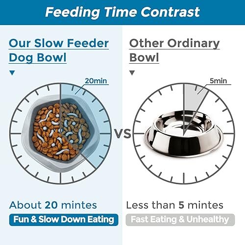 Miniatura 5 de VANNON Tazones de alimentación lenta para perros antideslizantes y duraderos para cachorros y perros pequeños, sin BPA, 2 tazas, color gris