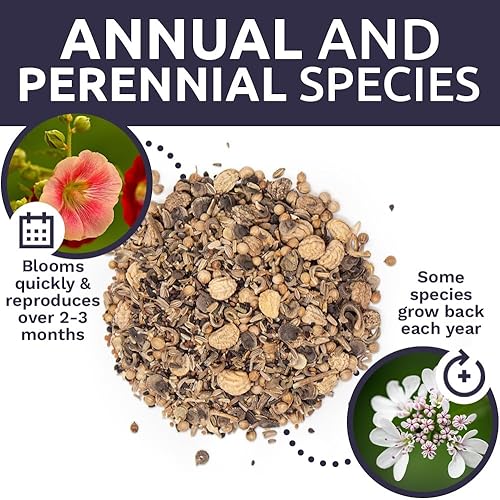 Miniatura 8 de Wildflower Seeds - Mezcla de flores comestibles  Bolsa de 14 de libra más de 30,000 semillas anuales y perennes polinizadas abiertas