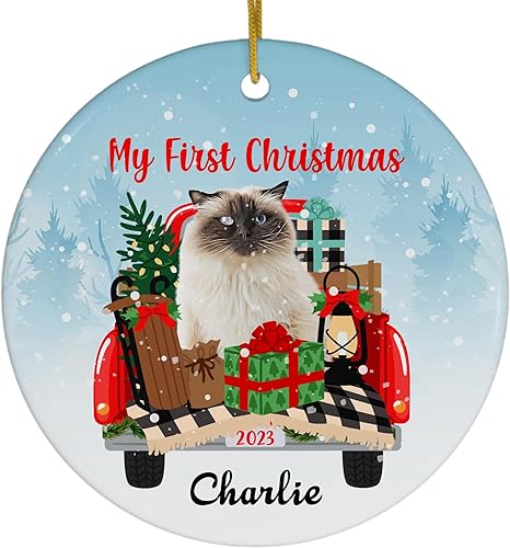 Camión rojo con punta de chocolate con gato del Himalaya First Christmas Ornaments 2023 personalizado nombre círculo blanco cerámica gatito