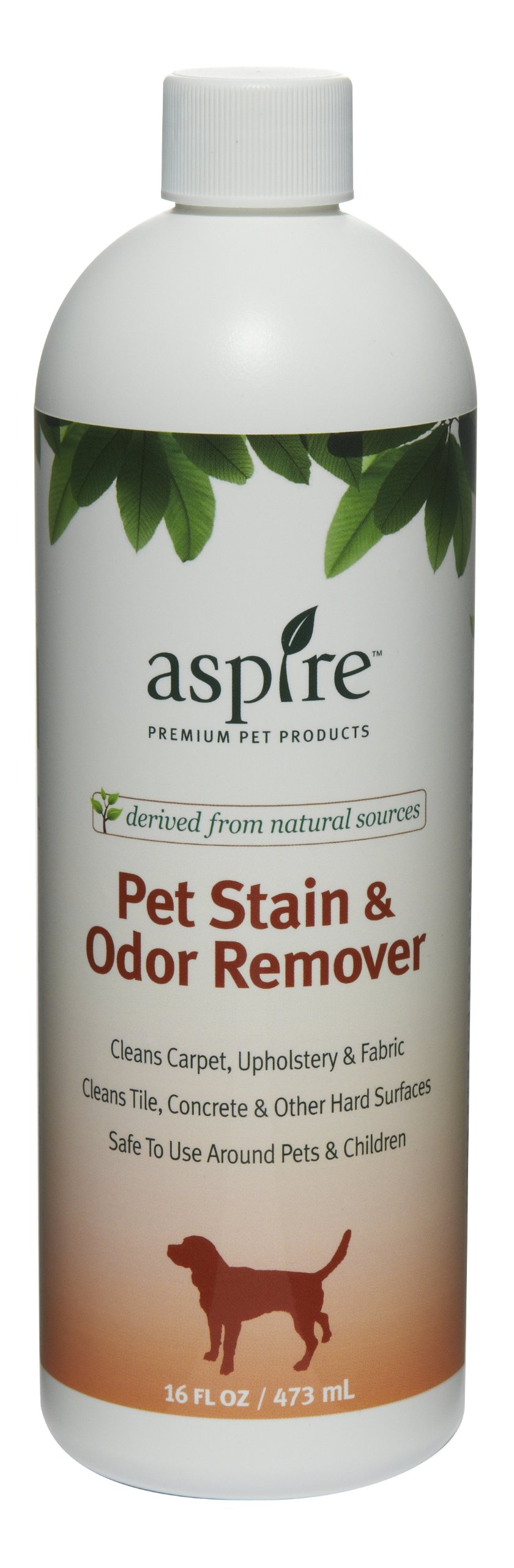 Aspire Pet Products Stain & Odor Remover 16 fl oz Bottle Naturally Derived Dog