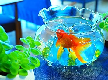 Amazon Co Jp タペストリー金魚 魚 金魚すくい 金魚鉢 水族館 アクアリウム ペット 夏祭り 水槽 出目金 赤 黒 テレワーク 背景 リモート 布 大きい 壁 インテリア 目隠し 部屋 飾り おしゃれ かわいい Zoom 映え 長い 横長 撮影 デザイン2 デザイン3