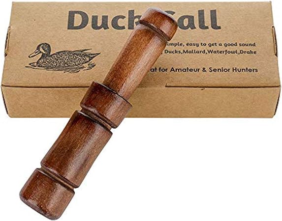 https://m.media-amazon.com/images/I/71MTTHGxTML._AC_SY450_.jpg