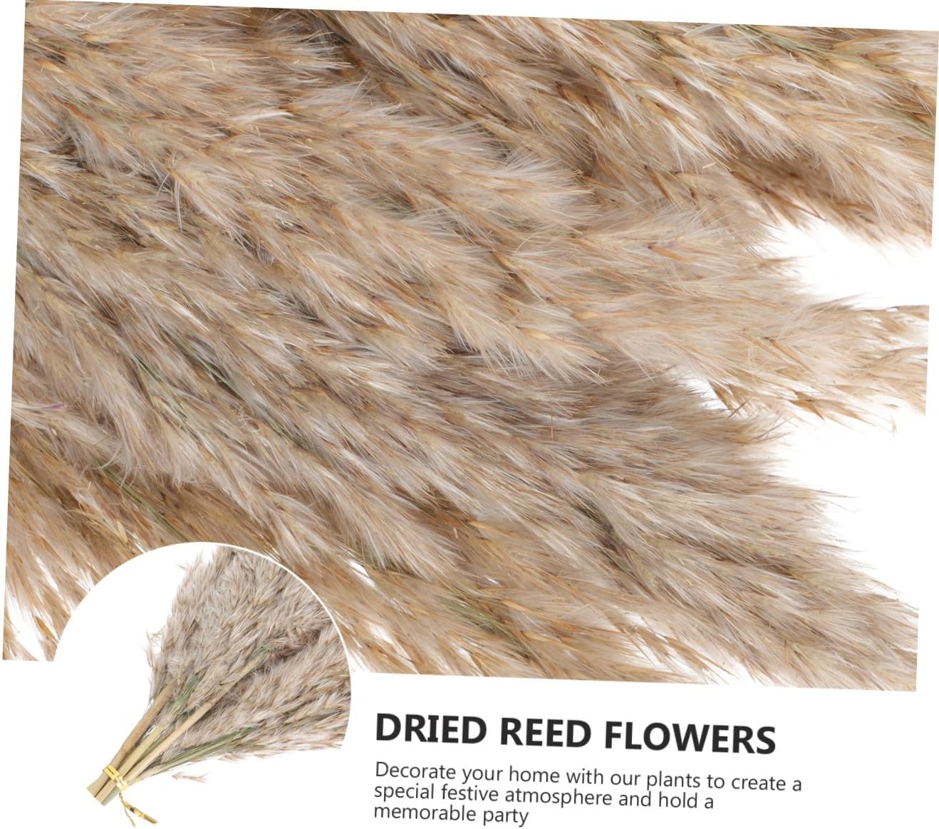 BESTOYARD 3sets Romantic Dried Flower Bouquet Natural Preserved Flowers for Home Decor Wedding Arrangements and Photography Props Lifespan Without Water Soil