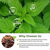 Vista 9 de 4 oz. Raíz de ortiga seca en polvo de Nettle Root - 113g Té de hierba raíz de ortiga picante - Raíz De Ortiga