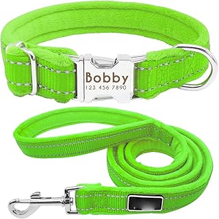 Kuntrona Nylon Dog Collar Leash Set Personalized Name ID Tag Reflective Padded Pet Collars Lead Leash Pug Pitbull Small Medium Large Dogs Green M