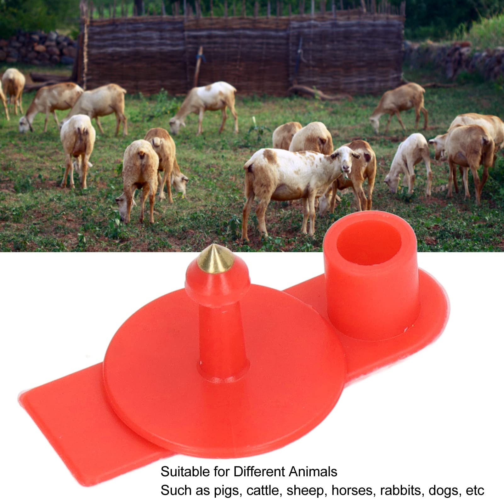 Marchi auricolari vuoti plastica rossa 100 pezzi per bestiame identificazione bovini