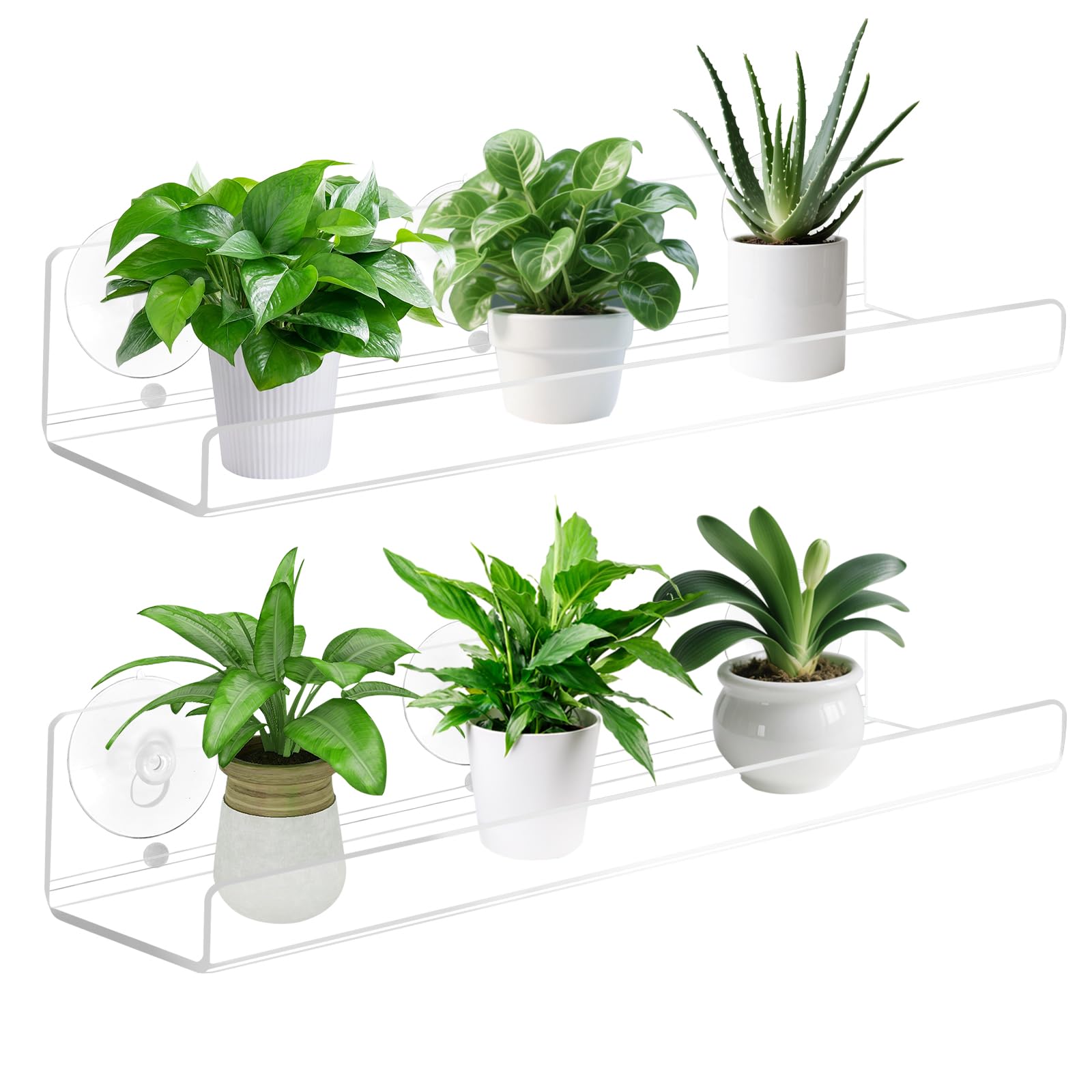 Paquete de 2 estantes de ventana para plantas, estantes de ventosa acrílica de 12 pulgadas para suculentas, macetas de hierbas, micro verdes, organizador de baño, soporte de exhibición y