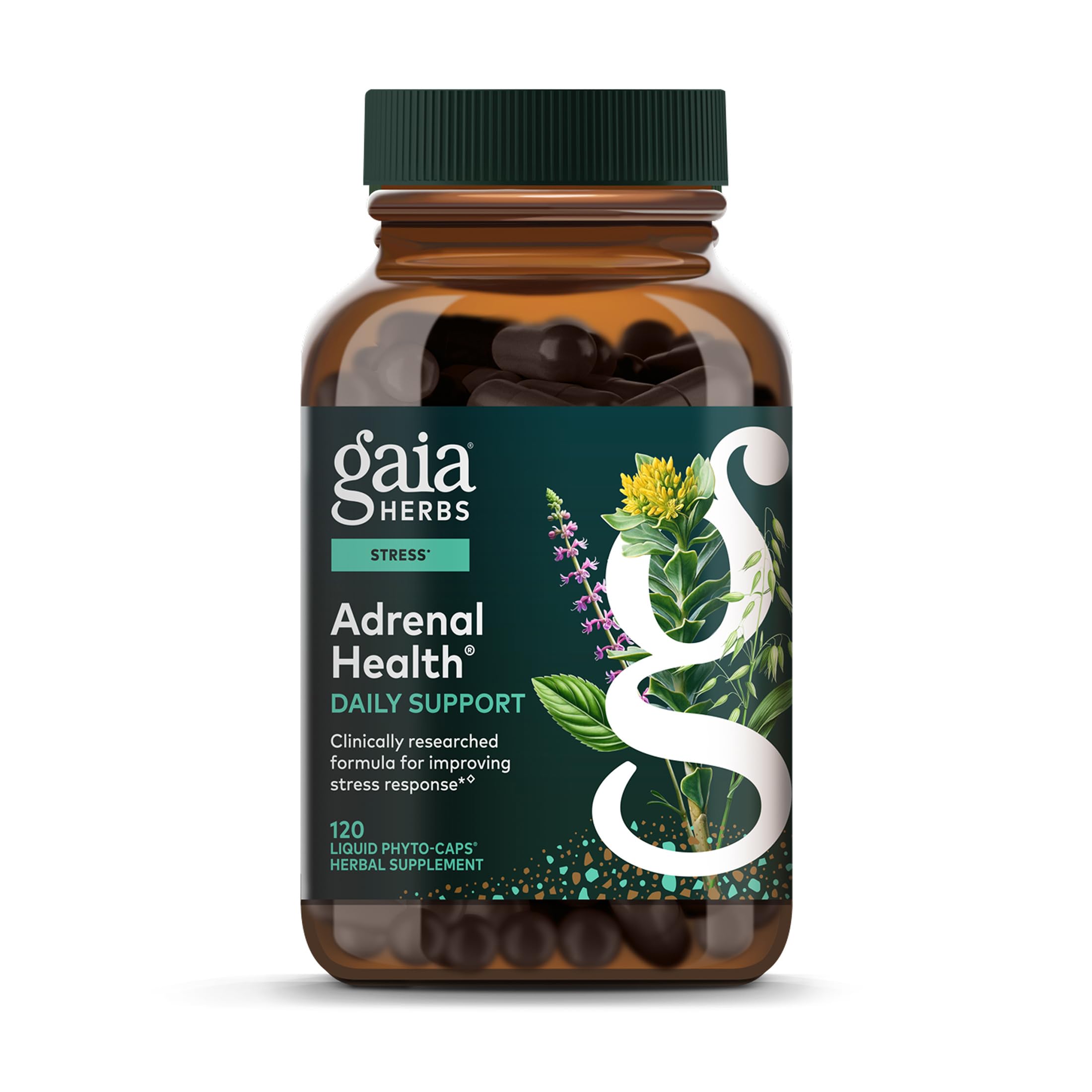 Gaia Herbs Adrenal Health Daily Support - Herbal Supplement with Ashwagandha, Holy Basil & Schisandra - Help Maintain Healthy Energy & Stress Levels* - 120 Vegan Liquid Phyto-Caps (60 Servings)