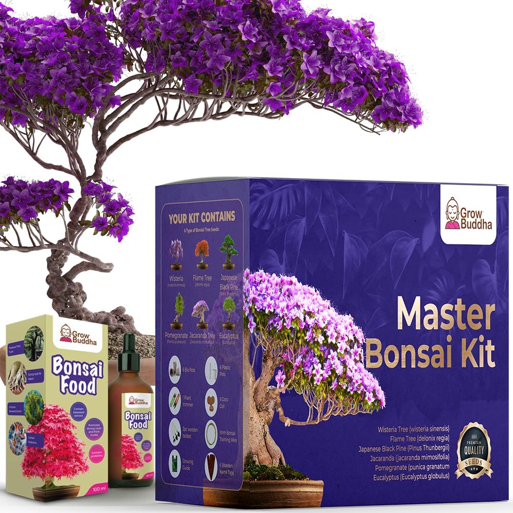 Grow Buddha Bonsai Tree kit with Bonsai Fertilizer Liquid