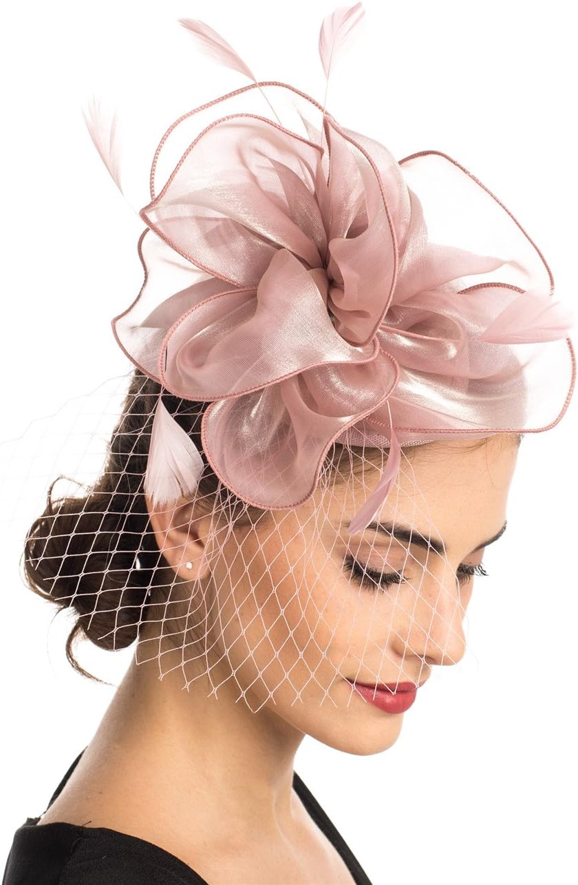 HaojingFascinator Hat Feather Mesh Net Veil Party Hat Ascot Hats Flower Derby Hat with Clip and Hairband for Women