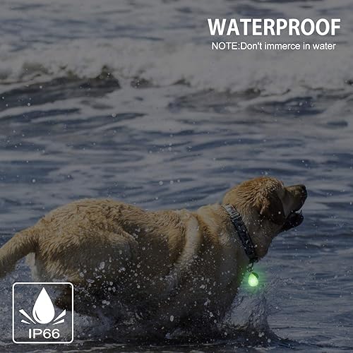 Miniatura 6 de Paquete de 2 luces recargables para perro, collar de perro, luces LED impermeables de seguridad para perros para caminar por la noche, fijar al
