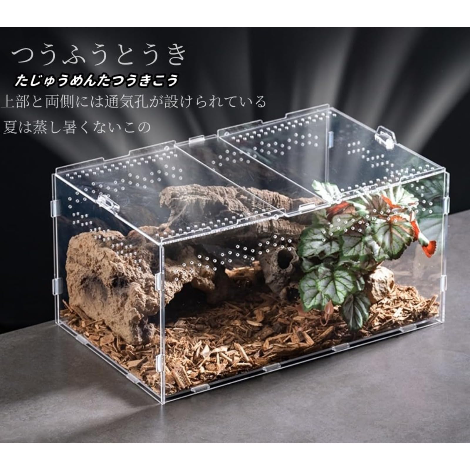 Amazon | haoyunjianjiak 爬虫類 両生類用飼育ケース 飼育ケージ 透明