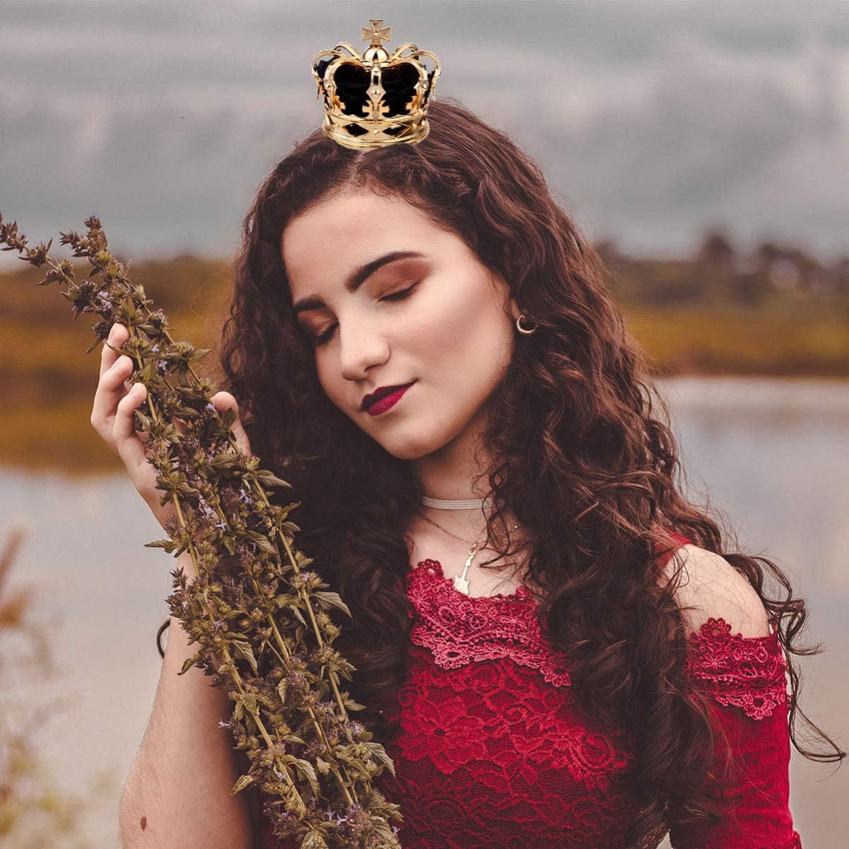 PRETYZOOM Crown Hairpin Black Queen Crown Clips Lightweight Durable Alloy with Rhinestones for Party Wedding Prom Fashion Accessories