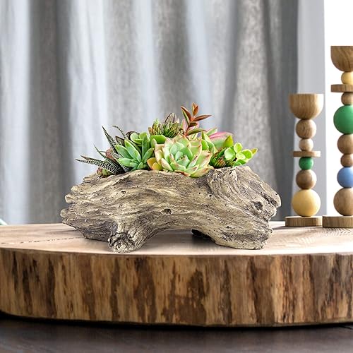 Miniatura 6 de Aclema Macetas suculentas de tocón, macetas para plantas de interior y exterior, bonito jarrón único de resina para jardín con orificio de drenaje