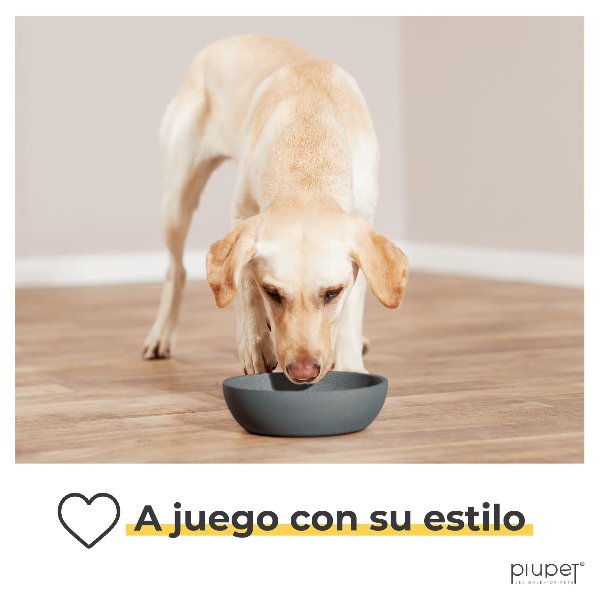 PiuPet® Comedero y Bebedero Para Perro I 2X 1,6L I Gris I Apto Para Lavavajillas I 21,5cm Diámetro I Cuenco I Accesorios