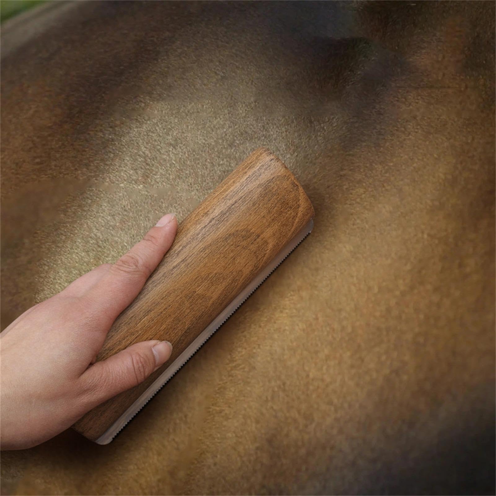 Outil de perte de poils de cheval 1/2 – Brosse à dents en acier inoxydable | pour poils de chevaux, chiens, chats, chèvres, vaches