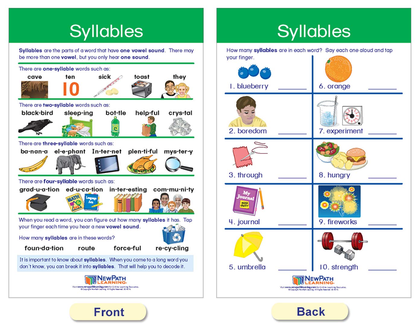 NewPath Learning Decoding & Phonics Bulletin Board Charts, Set/8 - Laminated, Double-Sided, Full-Color, 12" x 18" (92-1501)