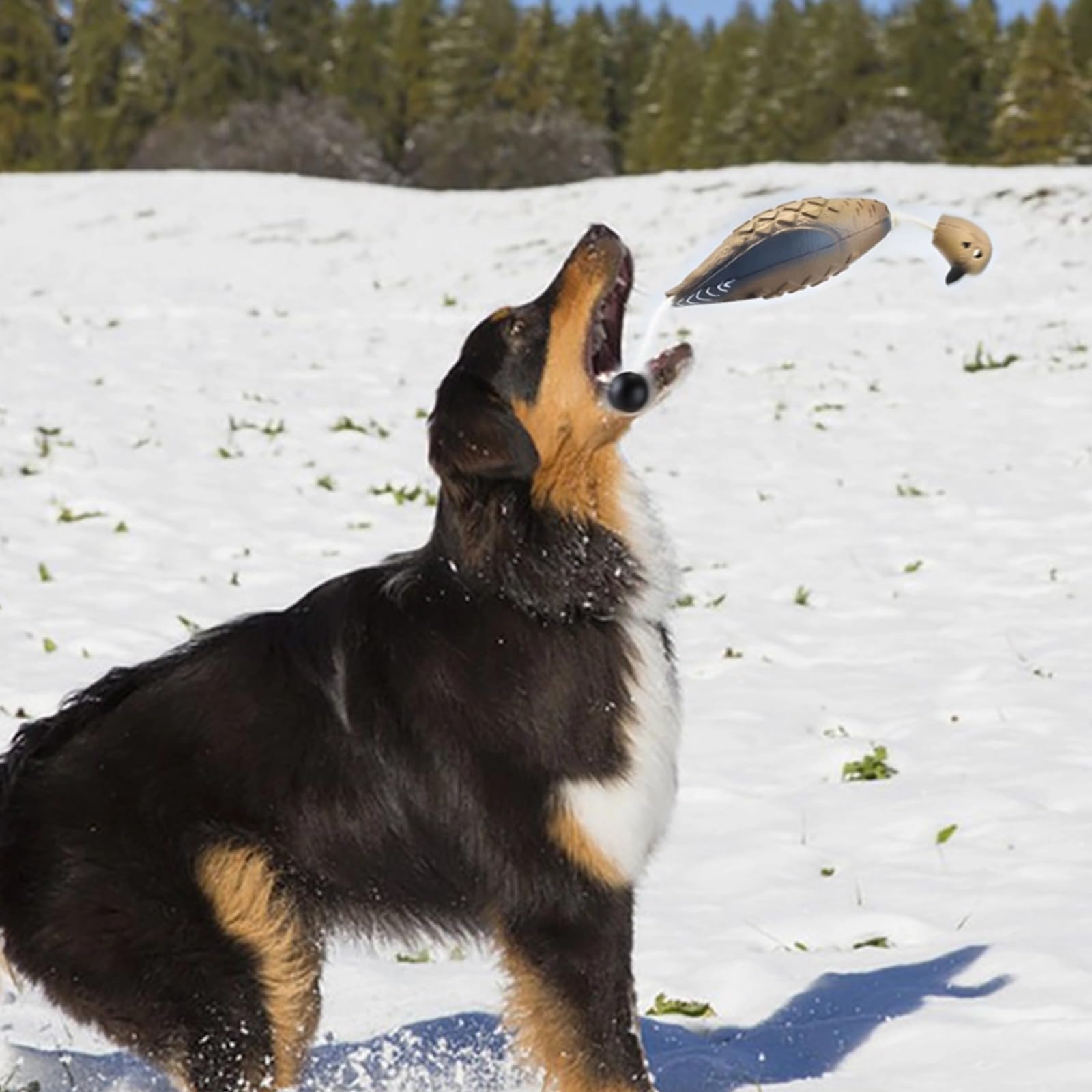 Générique 2 pièces leurres de Colombe, Jouet de Rapport pour Chien, leurre EVA résistant aux mordillages, Doux pour Les Dents, Flotte sur l'eau et au Sol, conseillé par des éducateurs canins