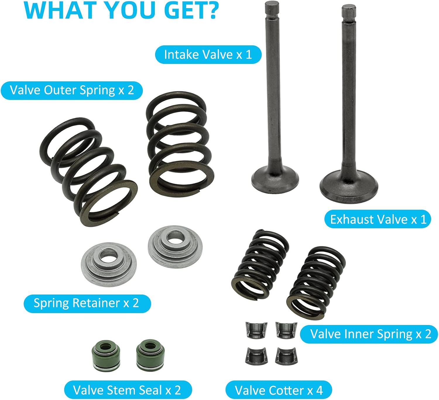 Intake Exhaust Engine Valves Seals Springs Kit for Honda XR75 XR80 XR100 XL75 XL80 XL100 CRF80 CRF100, OEM# 14711-152-000 14721-176-000
