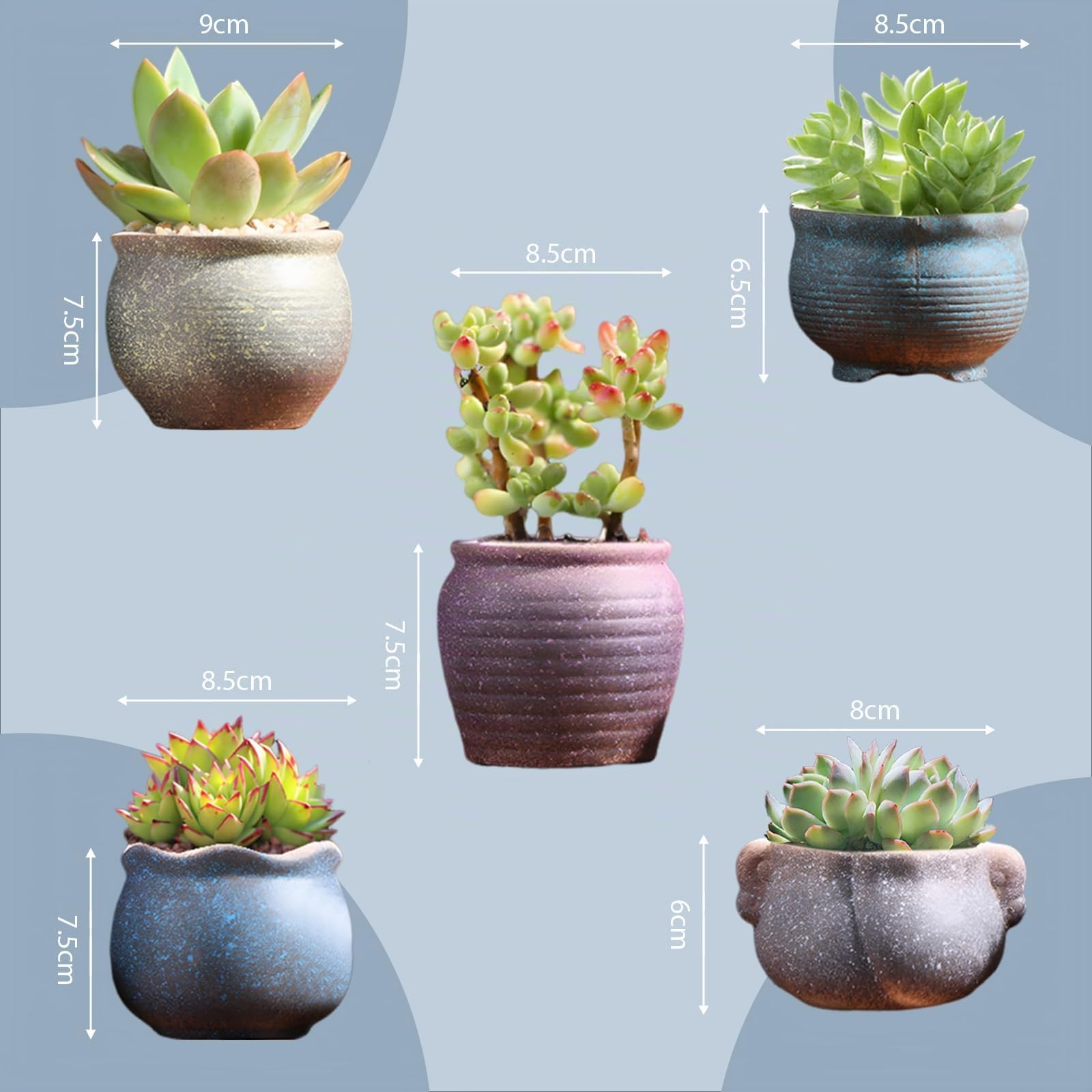 Maceta Suculenta,Macetas Decorativas de Cerámica,Maceta Cactus y Suculentas, con Agujero de Drenaje,para Plantas de Interior/Exterior, Flores, Cactus, Decoración del Hogar del Jardín