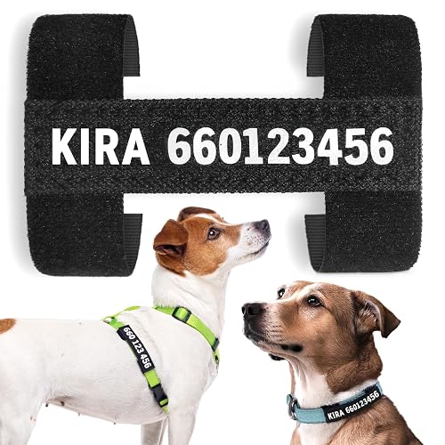 Tagorus TAG H - Etiqueta Velcro - Chapa Perro Grabada De Tela - Chapa Identificativa Perro