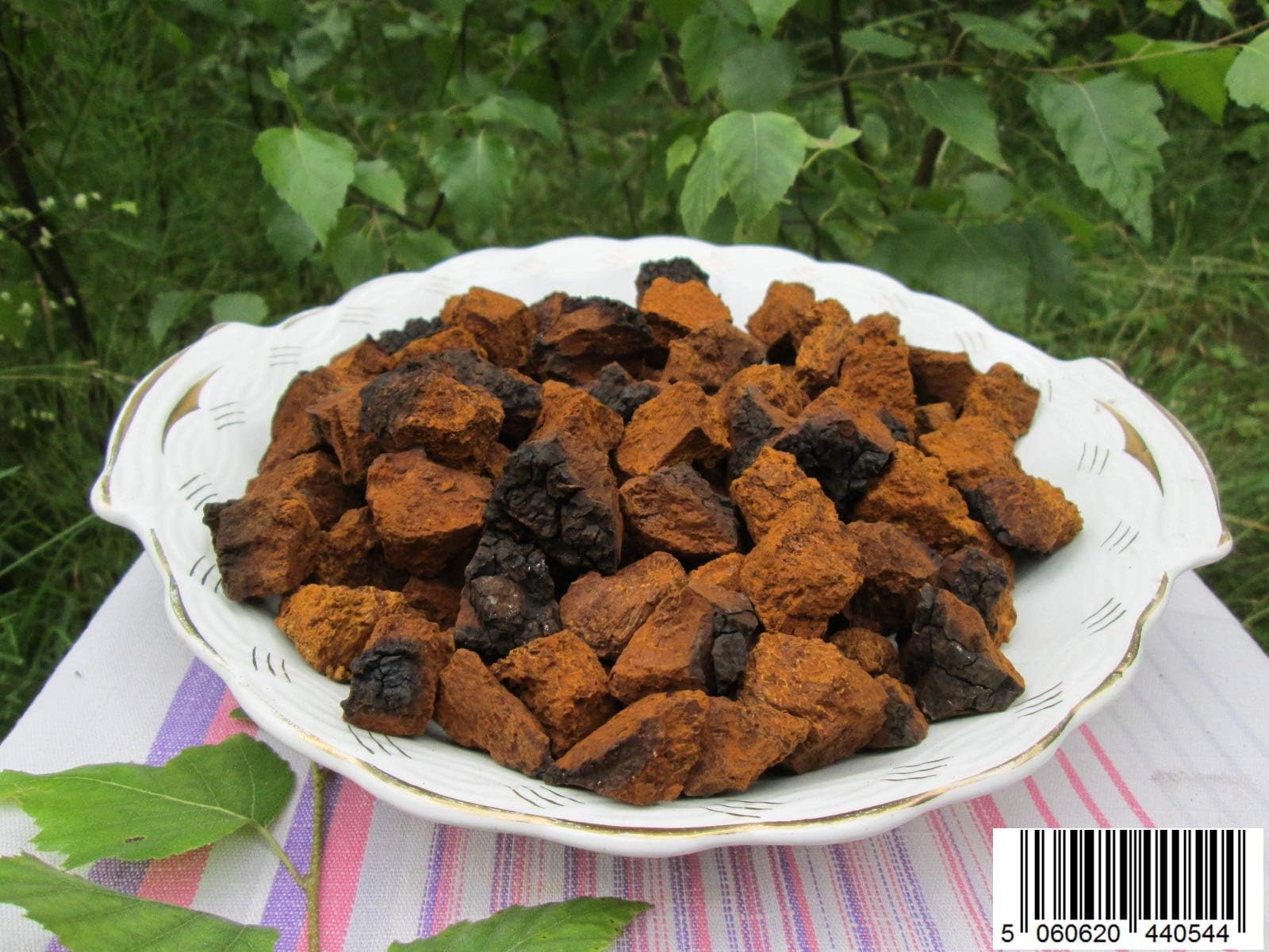 Wild Chaga Mushroom Chunks 50g