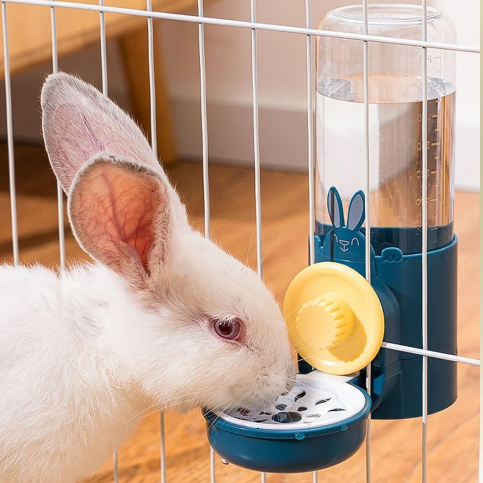 Cage suspendu avec fontaine pour animaux de compagnie : Fontaine suspendue pour cochons d'Inde, distributeur automatique de nourriture pour chats, lapins, chiens et cochons d'Inde