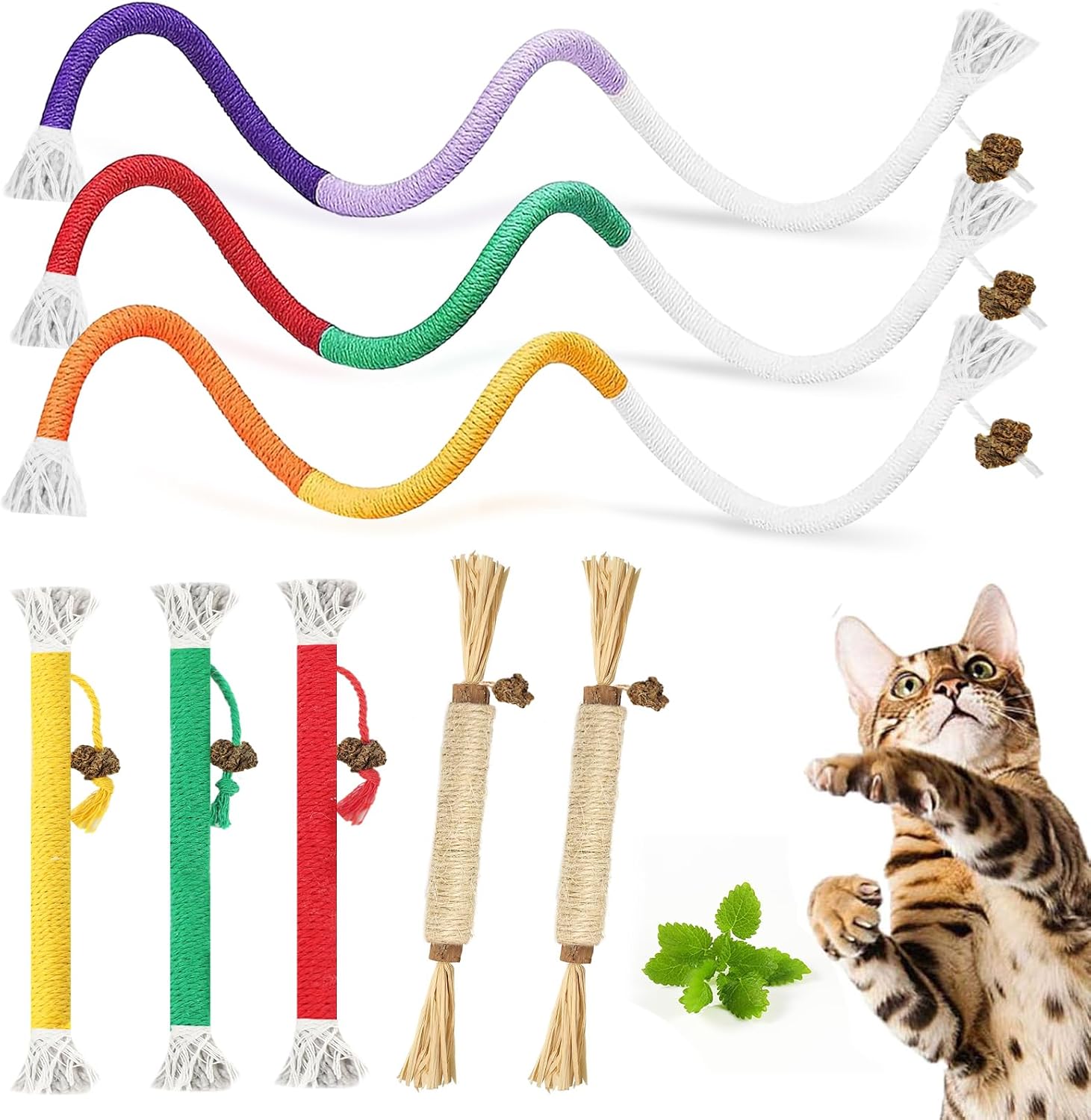 Tocirelo Silvervine Sticks for Cats & Cat Chew Rope - 8Pcs Natural Cat Chew Toy Teeth Cleaning for Bored Indoor Adult Cats, Matatabi Dental Care Kitten Treat Teething Toys, Silver Vine Cat Chew Stick