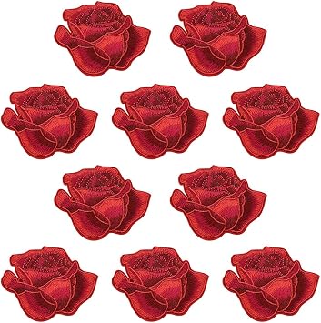 10 Pieces Rose Flower Iron on Patches, Delicate Rose Embroidery Applique Patches for Bag,Caps, Kids Clothing, Jeans, Jackets K50_1