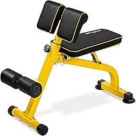 BODYRHYTHM Compact Adjustable Weight Bench - All-in-One Roman Chair for Full Body Workouts, Incline Decline Ab Bench, Folds for Storage