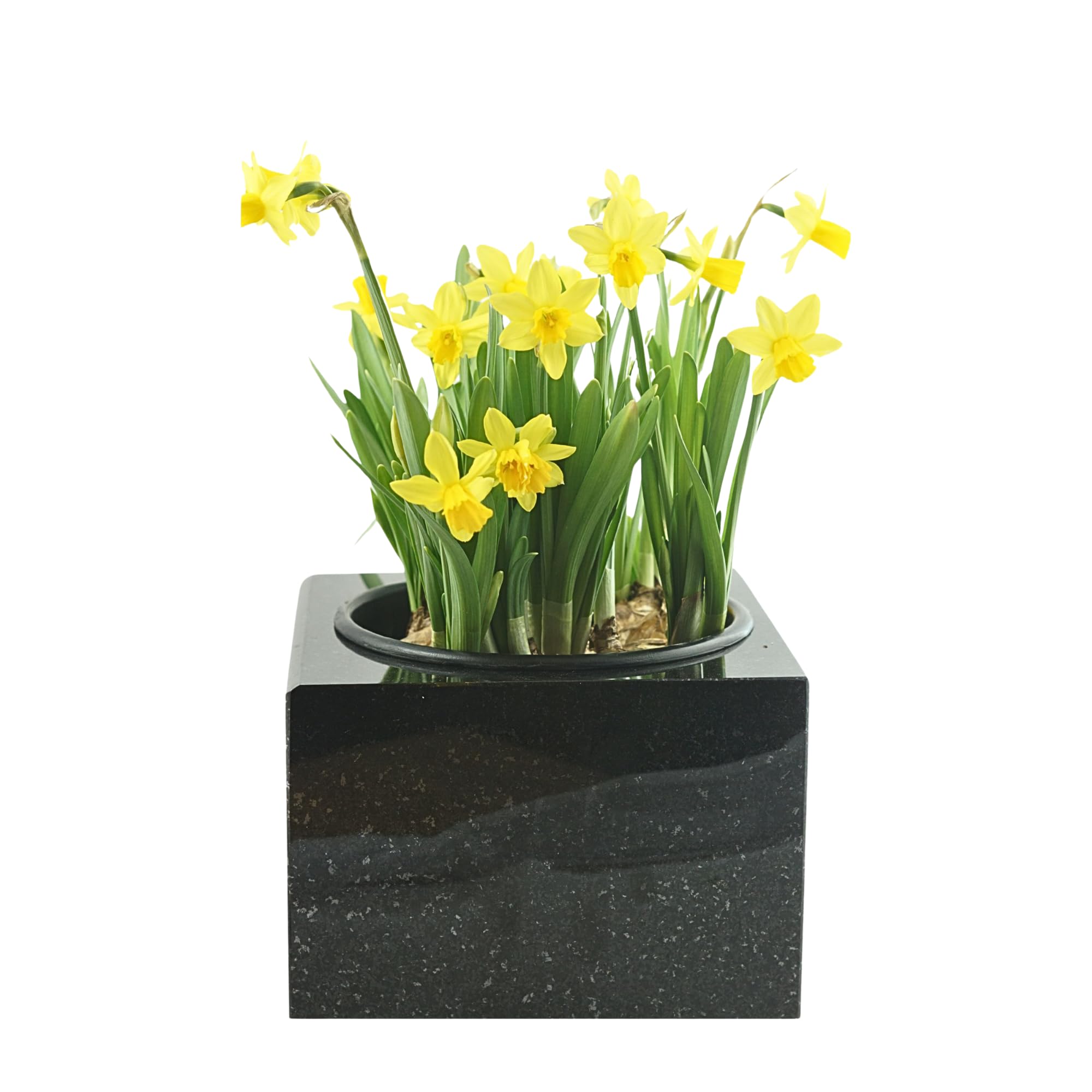 designgrab Carreaux en granit suédois noir 30 cm poli et digne