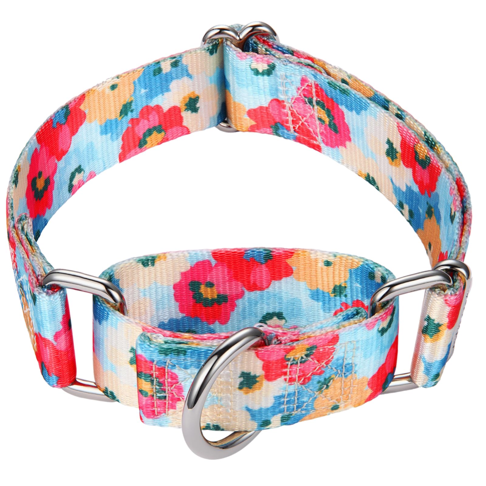 Mikivery Martingale Collar for Dogs 1 inch Sturdy Durable Collars Medium and Large Breed for Walking Training Outdoor Daily Use