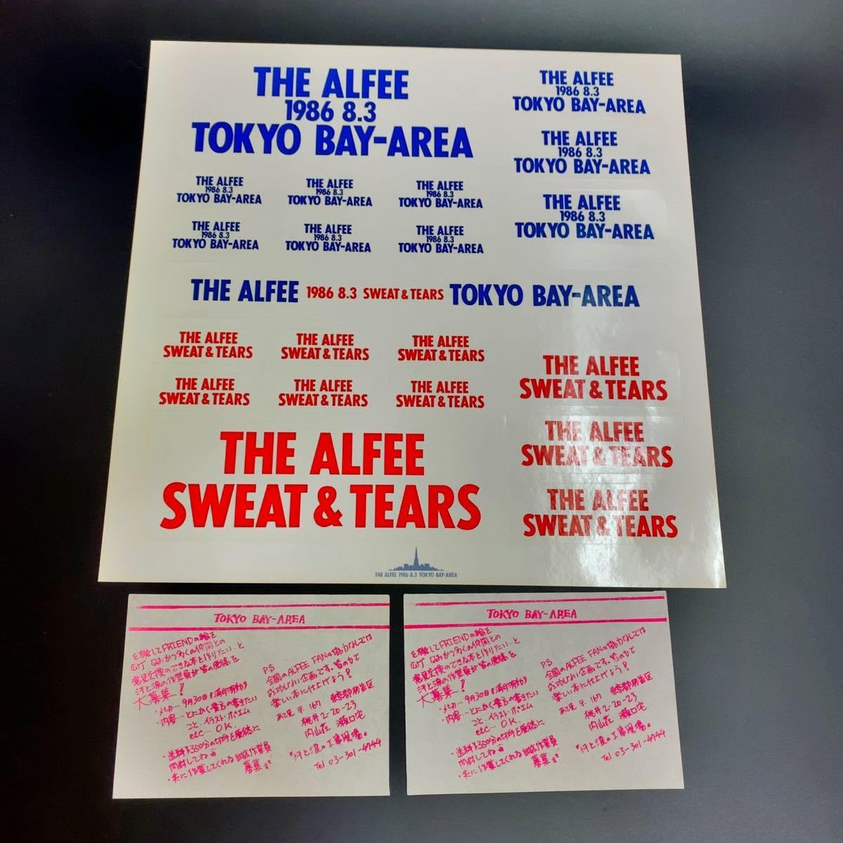 一夜限りの伝説【1986.8.3 TOKYO BAY AREA】ワッペンチケット 一夜限り