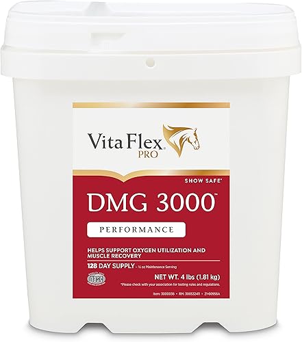 Pro DMG 3000 concentrado DMG para caballos, 4 libras, suministro para 128 días