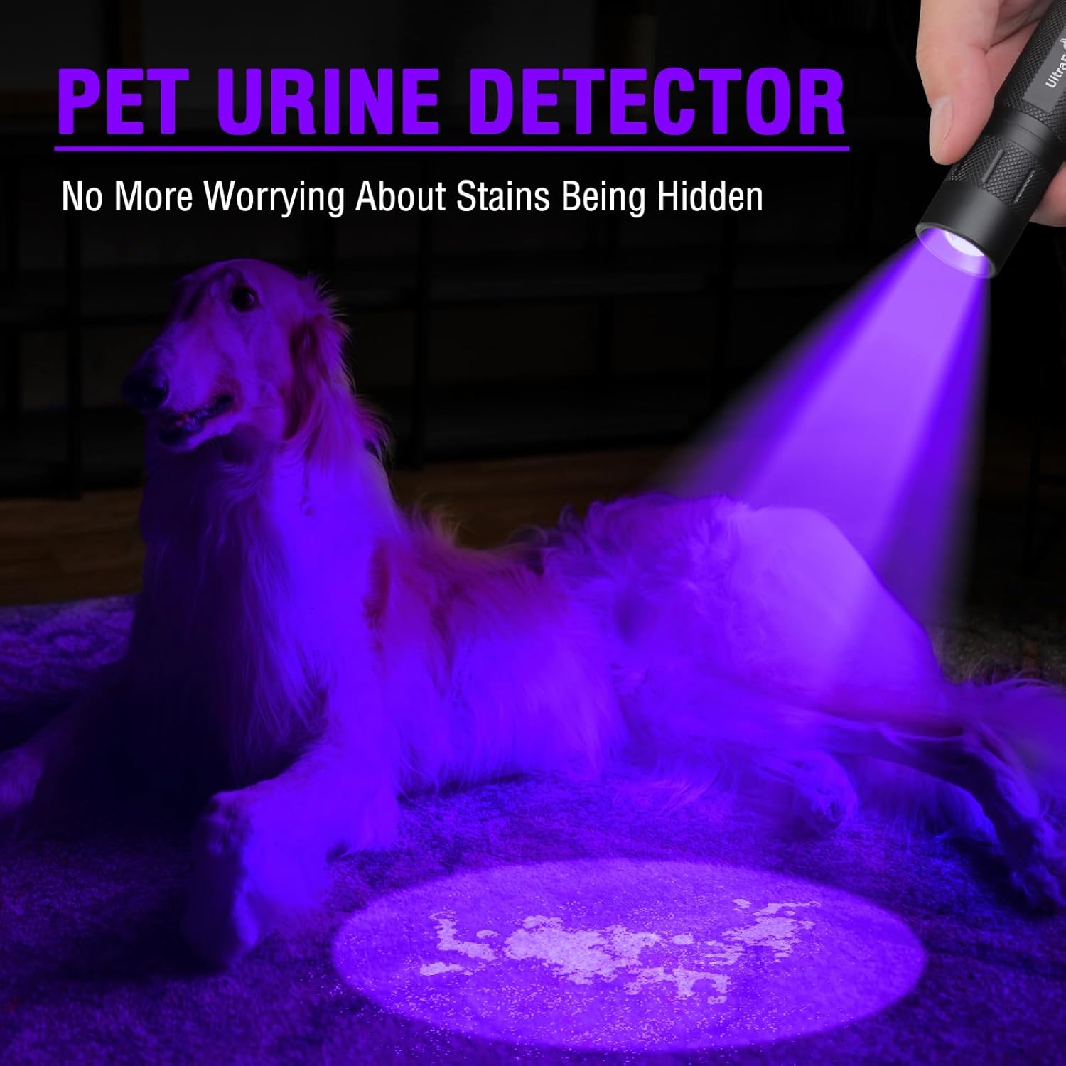 ULTRAFIRE UV Light, 395-405nm UV Flashlight, Single Mode Rechargeable Black Light for Resin Curing, Pet Stains, Fly Tying and Spot Scorpions SP10UV