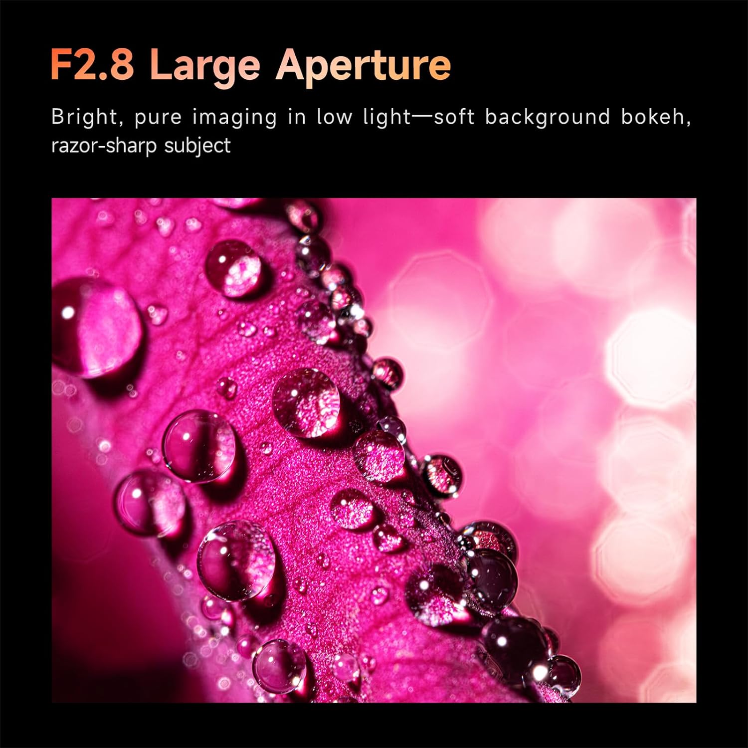 Brightin Star 60mm F2.8 2X Macro Lens for for Sony E Mount Mirrorless Cameras, APS-C Manual Focus MF Prime Large Aperture Lens, Fit for A6700 A6600 A6500 A6400 ZV-E10 ZV-E10II FX30