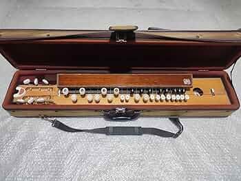 菊八重大正琴 Amazon.co.jp: 高級 菊八重 大正琴 ケース付 螺鈿細工 : 楽器・音響機器