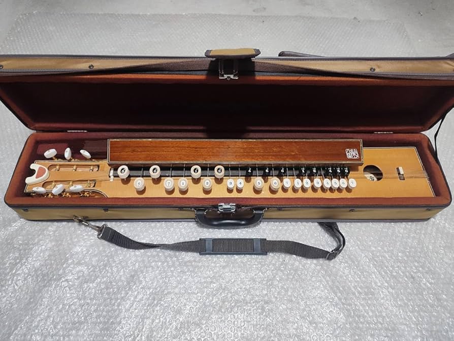 Amazon.co.jp: 高級 菊八重 大正琴 ケース付 螺鈿細工 : 楽器・音響機器