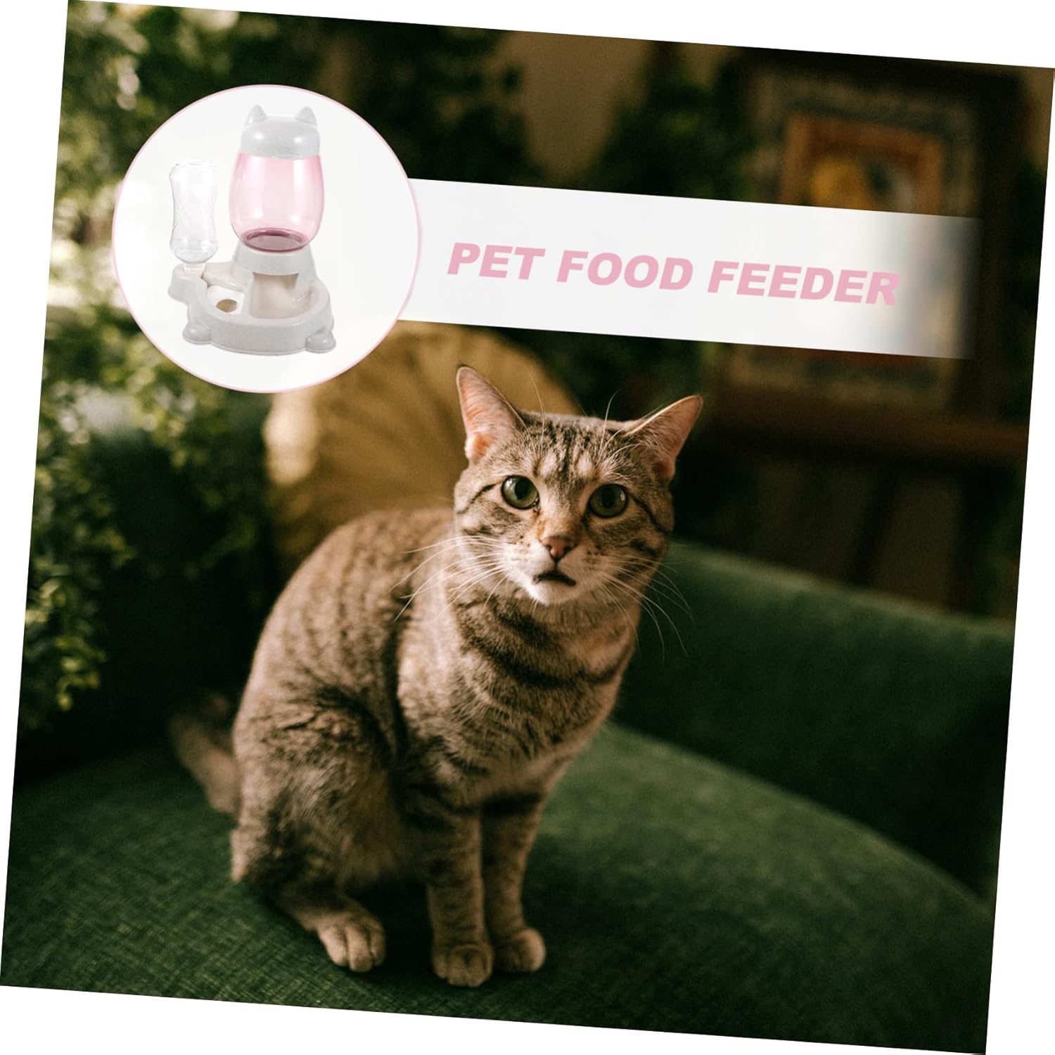 BESPORTBLE Pet Food Water Dispenser and Automatic Feeder for Cats and Saving and Convenient Pet Supply Suitable for Kittens and Puppies Grey