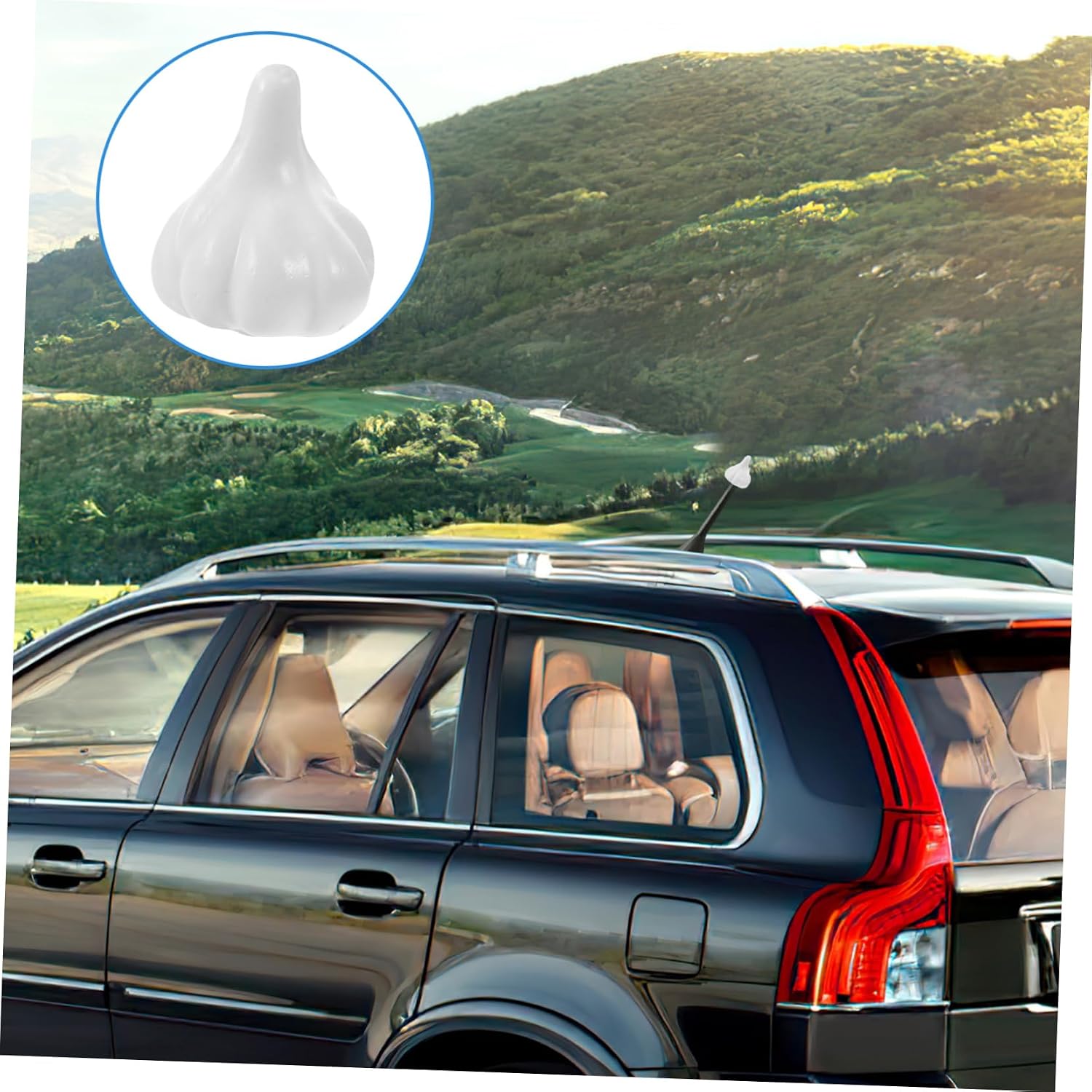 SOLUSTRE Cute Car Antenna Decoration Auto Exterior Decor Garlic Antenna Topper for Suvs