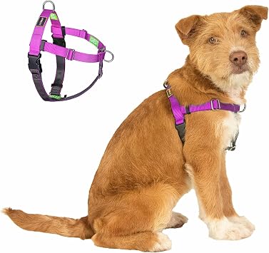 Easy Walk No Pull Dog Harness, Purple, Medium