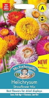 Mr Fothergill’s Seeds Ltd 35185 Helichrysum Strawflower Mix