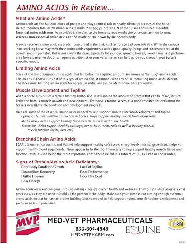 Miniatura 4 de Amino 15X (1.5 lb) - Apoya la función muscular saludable, el desarrollo y las molestias musculares ocasionales en caballos