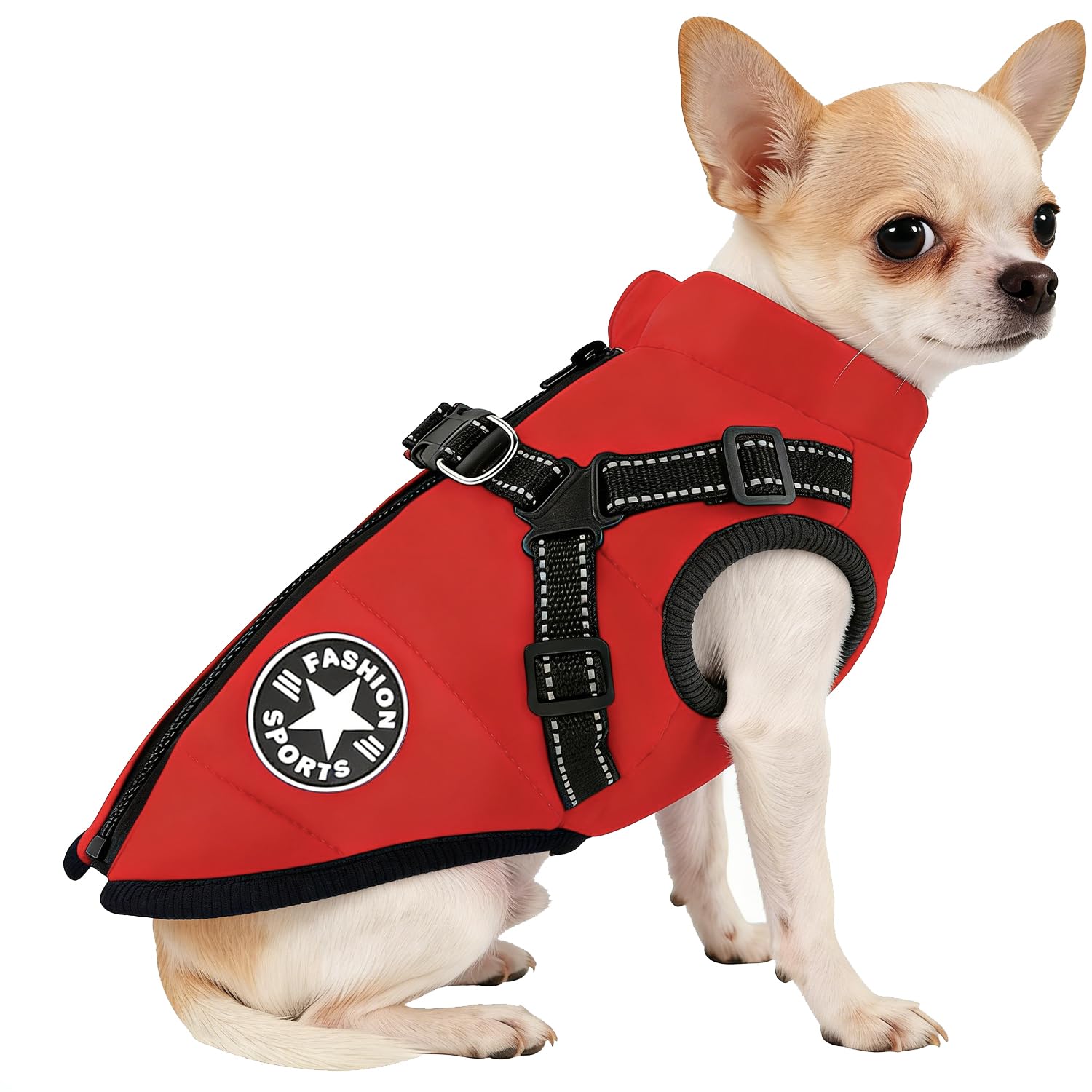 Manteau imperméable pour chien rouge M idéal pour les balades sous la pluie en forêt